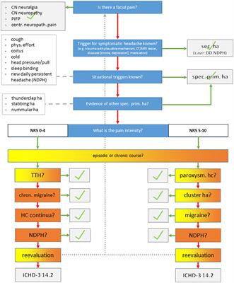 Reliability of a telephone interview for the classification of headache disorders